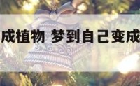 梦到自己变成植物 梦到自己变成植物人但是意识清醒