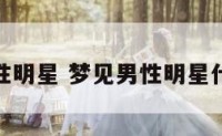 梦见男性明星 梦见男性明星什么意思