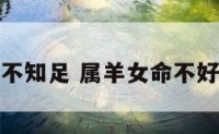 属羊女不知足 属羊女命不好怎么办