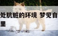 梦见自己身处肮脏的环境 梦见自己处在一个肮脏的环境里