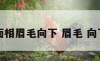 面相眉毛向下 眉毛 向下