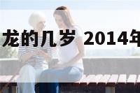 2014年属龙的几岁 2014年出生属什么几岁