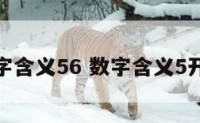 数字含义56 数字含义5开头