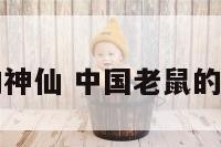 中国老鼠的神仙 中国老鼠的神仙叫什么