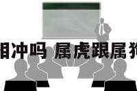 属虎跟属狗相冲吗 属虎跟属狗相冲吗好吗