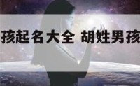 胡姓字字男孩起名大全 胡姓男孩名字大全最新