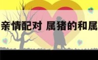 属猪和属鼠亲情配对 属猪的和属鼠的在一起相配吗