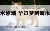 孕妇梦到海水涨潮 孕妇梦到海水涨潮往高处走什么意思