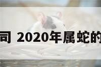 属蛇今年官司 2020年属蛇的会有官司吗