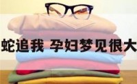 孕妇梦见青蛇追我 孕妇梦见很大的青蛇追我