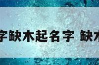 男猴宝宝八字缺木起名字 缺木属猴女取名