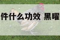 黑曜石心型摆件什么功效 黑曜石对心脏有保护作用有吗