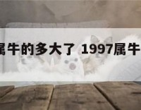 1997属牛的多大了 1997属牛现在几岁