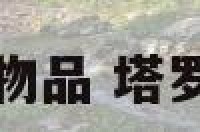 塔罗占卜丢失的物品 塔罗牌占卜丢失物品