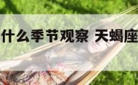 天蝎座适合什么季节观察 天蝎座什么时候最可爱