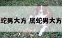 属蛇男大方 属蛇男大方吗