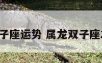 属龙的双子座运势 属龙双子座2021运势