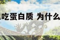 为什么o型血吃蛋白质 为什么o型血吃蛋白质不会胖