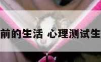 测试目前的生活 心理测试生活现状