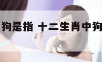 十二生肖中狗是指 十二生肖中狗是指哪个生肖