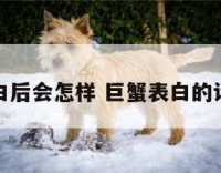 巨蟹座表白后会怎样 巨蟹表白的话能信多少