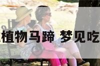 梦见吃植物马蹄 梦见吃马蹄糕