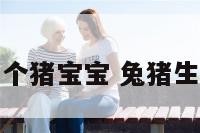 属兔的生个猪宝宝 兔猪生虎宝宝吗