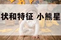 小熊星座的形状和特征 小熊星座的形状和特征图片