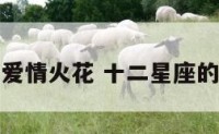 星座的爱情火花 十二星座的爱情花