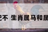 属马与牛相配不 生肖属马和属牛的相配吗?