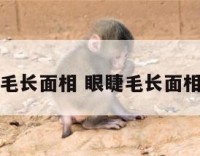 眼睫毛长面相 眼睫毛长面相分析