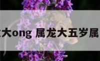 属龙大ong 属龙大五岁属什么