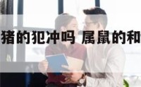 属鼠的跟属猪的犯冲吗 属鼠的和属猪的相冲吗