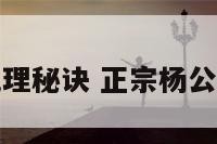 杨公三元地理秘诀 正宗杨公三元风水学