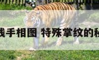 特殊事业线手相图 特殊掌纹的秘密全图解