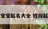 姓段宝宝起名大全 姓段起名字