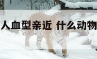 什么动物和人血型亲近 什么动物的血和人的血相似