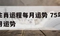 75年兔生肖运程每月运势 75年的兔2021年每月运势