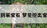 梦到采宝石 梦见挖出宝石