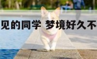 梦境好久不见的同学 梦境好久不见的同学来我家