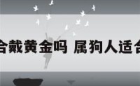 属狗适合戴黄金吗 属狗人适合戴金吗