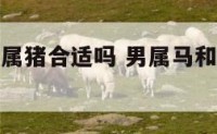 男属马和女属猪合适吗 男属马和女属猪的适合做夫妻吗