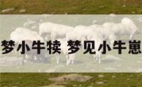 解梦小牛犊 梦见小牛崽子