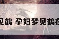 孕妇梦见鹤 孕妇梦见鹤在天上飞