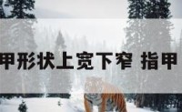 指甲形状上宽下窄 指甲 宽