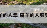 属羊的人犟 属羊的人强势吗