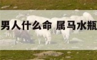 属马水瓶座男人什么命 属马水瓶座男生优点缺点