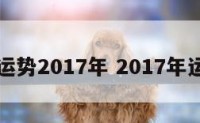 年月日运势2017年 2017年运势八字