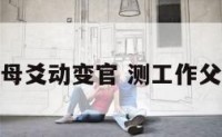 测工作父母爻动变官 测工作父母爻伏藏
