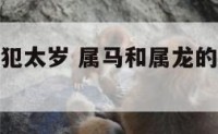 属马的龙年犯太岁 属马和属龙的今年会犯太岁吗